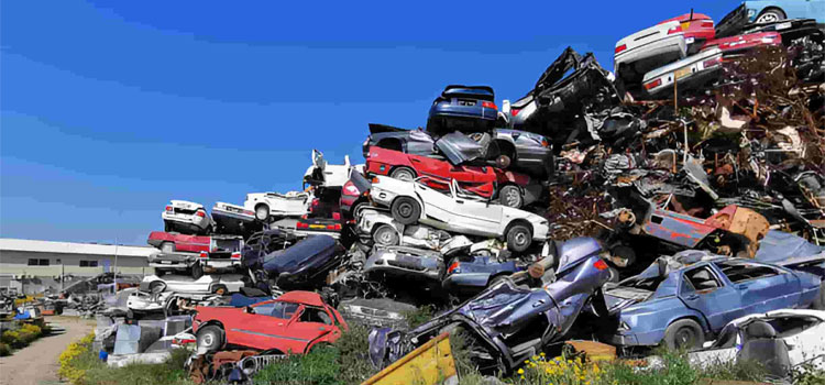 Eazy Car Removals